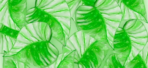 Zdjęcie zielone i białe tropikalne liście relaksują wiosenne tło natury
