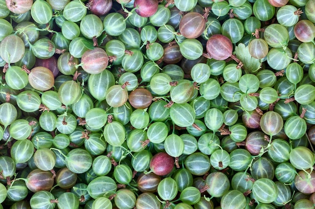 Zielone jagody świeżego agrestu są rozrzucone na teksturze powierzchni w tle