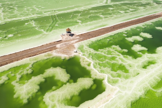 Zdjęcie zielone jezioro solankowe i pawilon plażowy naturalne tło jeziora