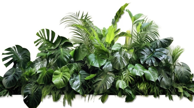 Zielone liście Tropikalne liście liści roślin krzak kwiatowy układ natura tło