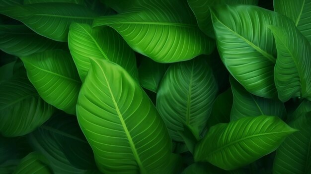 Zielone liście w tle przyrody Ai Generative