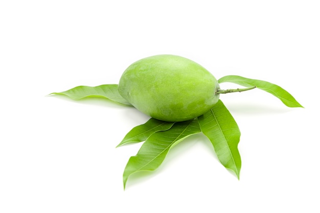 Zdjęcie zielone mango są umieszczane na liściach mango na białym tle.