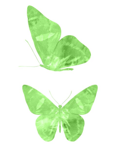 Zielone motyle na białym tle. tropikalne ćmy. owady do projektowania. farby akwarelowe