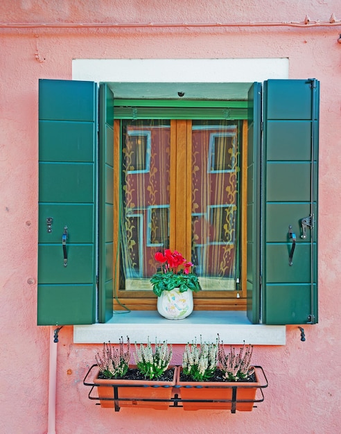 Zdjęcie zielone okno w różowej ścianie