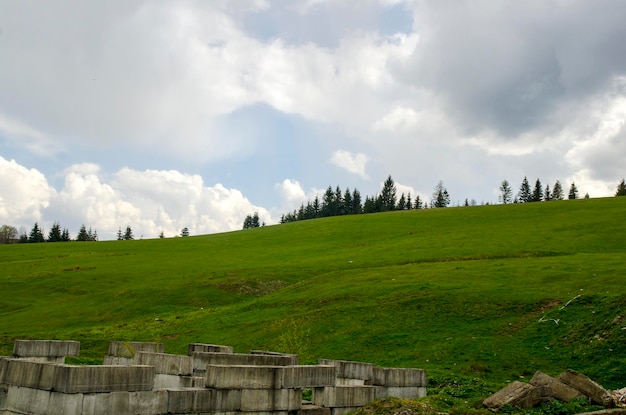 Zielone pola i ruiny