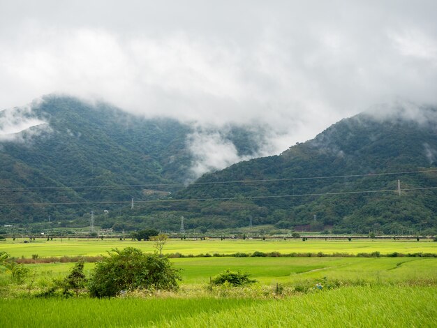 Zielone Pola Ryżowe, Białe Chmury, Góry W Hualien Na Tajwanie.