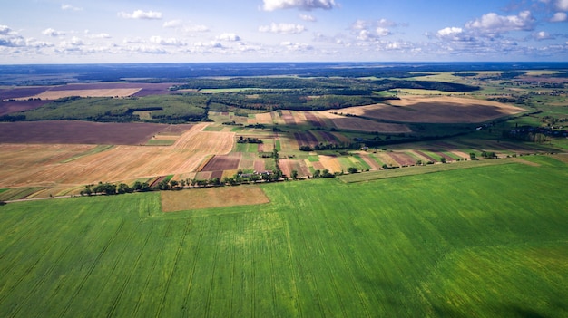 zielone pole jest o zachodzie słońca z dronem