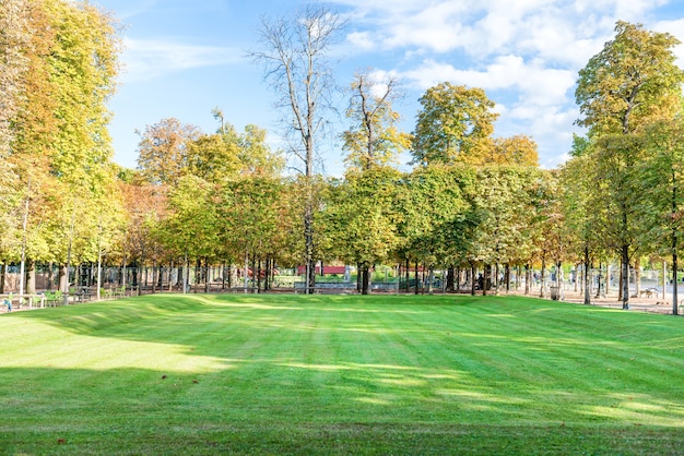 Zielone Pole Z Drzewami W Ogrodzie Tuileries W Paryżu, Francja