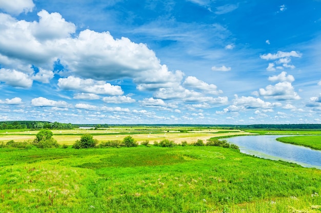 Zielone pole z rzeką i niebem