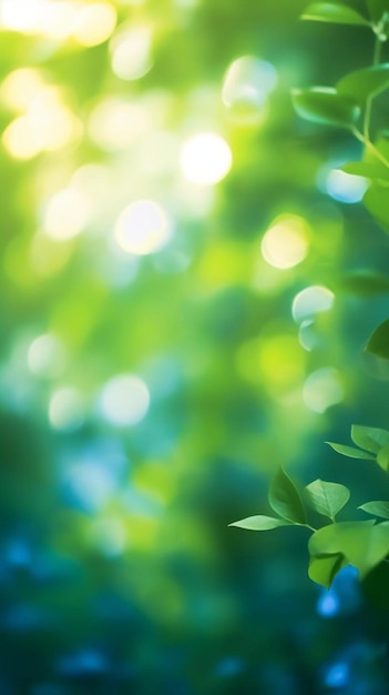 Zielone rośliny z słońcem świecącym przez liście