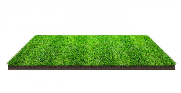 Zielonej trawy pole odizolowywający z ścinek ścieżką. Boisko sportowe. Letnie gry zespołowe.