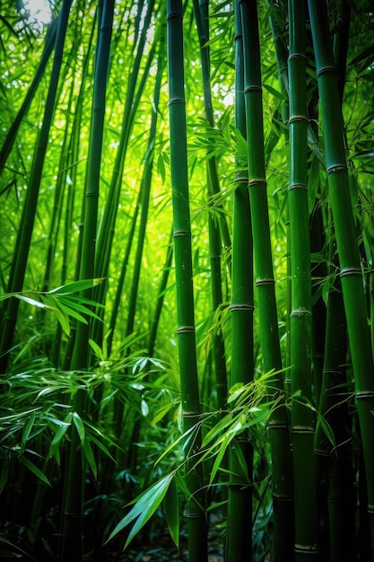 zielony bambus kołysze się na wietrze