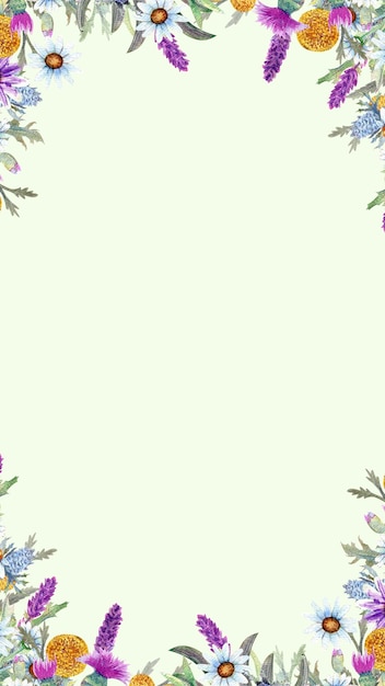 Zdjęcie zielony fioletowy tło twoja opowieść 1