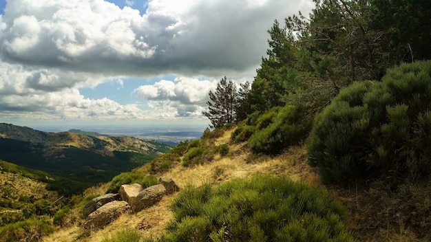 Zielony górski krajobraz śródziemnomorskiego lasu z widokiem na dolinę.