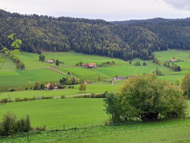 Zdjęcie zielony krajobraz