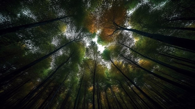 Zdjęcie zielony las bukowy patrzący w górę z niskiego kąta strzału ai generative