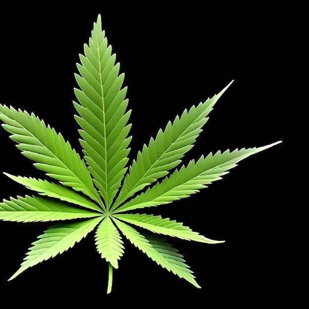 Zielony liść marihuany na czarnym tle