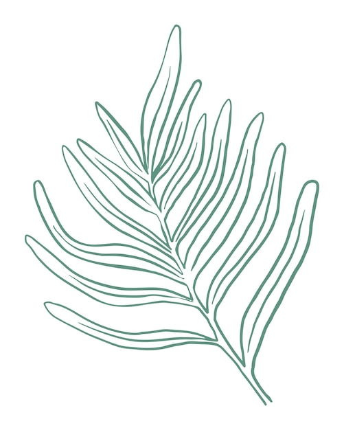 Zielony liść png naklejka linia sztuka ilustracja przezroczysty tło