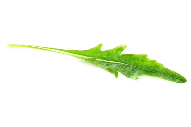 Zielony liść rukoli na białym tle