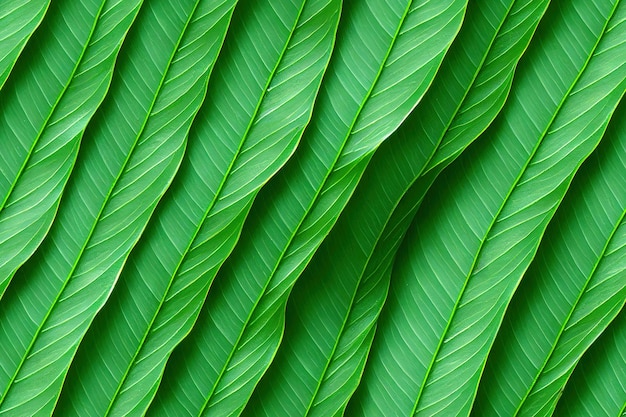 Zielony liść tekstura tło wzór