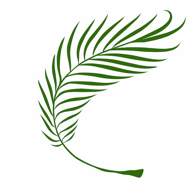 zielony liść z zielonym liściem na nim