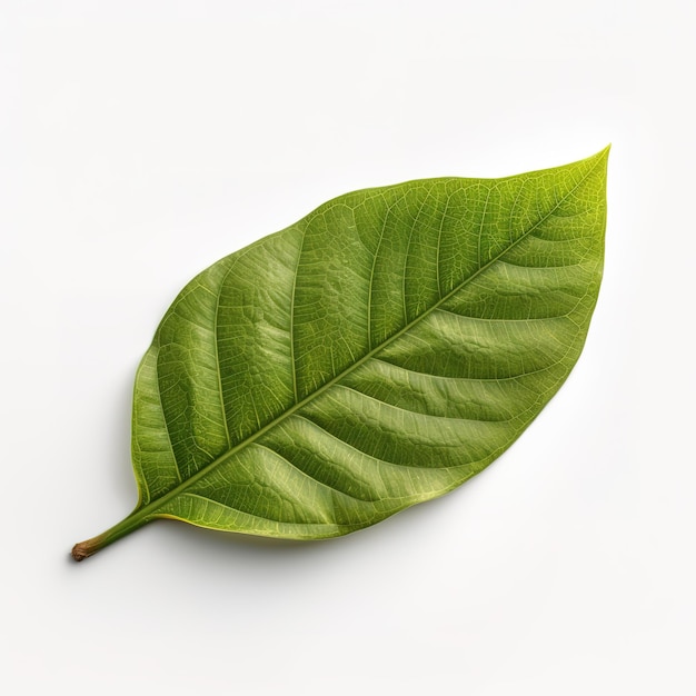Zielony liść ze słowem „na nim” na górze.