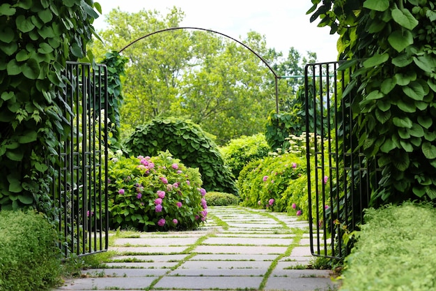 Zielony łuk w ogrodzie botanicznym