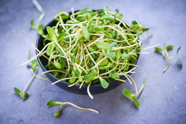 Zielony młody słonecznik kiełkuje na pucharze dla gotujących karmowych zdrowych warzyw