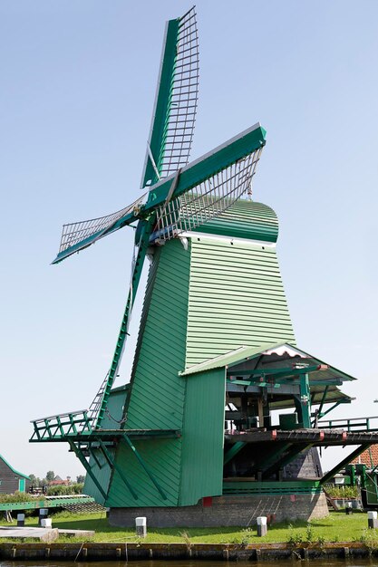 Zielony młyn wiatrowy Zaanse Schans na tle niebieskiego nieba Holandia
