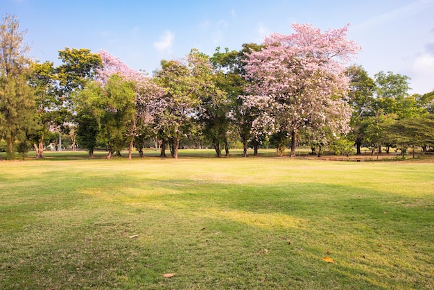 Zielony Park Krajobrazowy