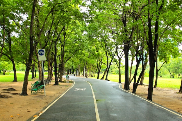 Zielony park miejski