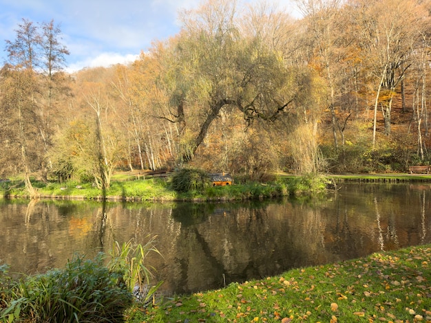Zielony park rekreacyjny bois des reves z jeziorem w Ottignie louvain la neuve prowincja brabant walijski