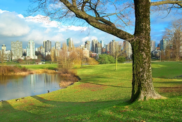 Zielony Park W Pobliżu Morza Z Drapaczami Chmur. Vancouver, Kanada.