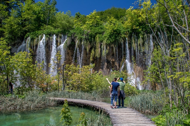 Zielony piękny park z turystami