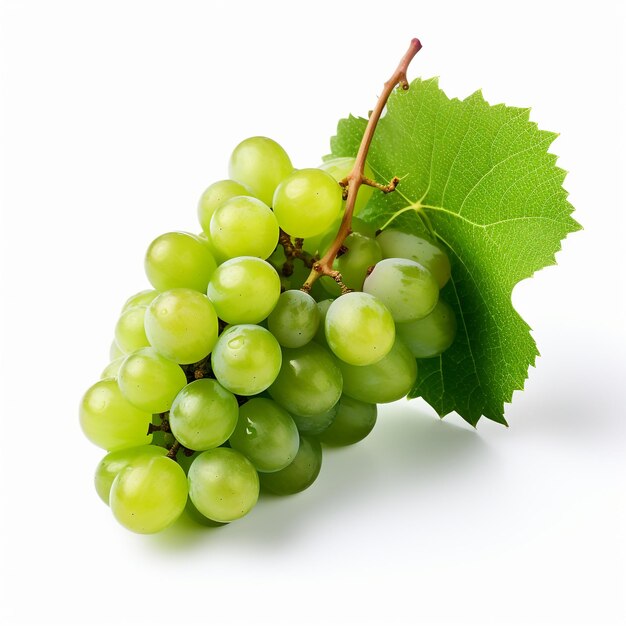 Zielony winogrono z liśćmi odizolowywającymi na bielu Ze ścieżką przycinającą generowaną przez AI
