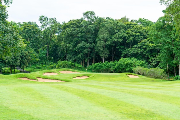 Zielony z piaskowymi bunkrami na polu golfowym