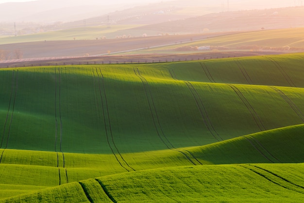 Zielonych fala wzgórza w Południowych Moravia, republika czech podczas zmierzchu