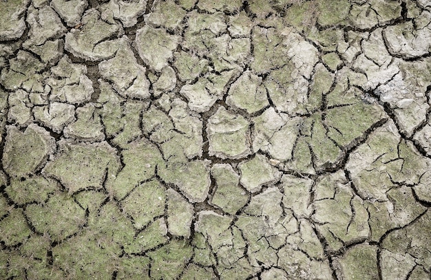 Ziemia Była Sucha I Spękana Globalny Brak Wody Na Planecie