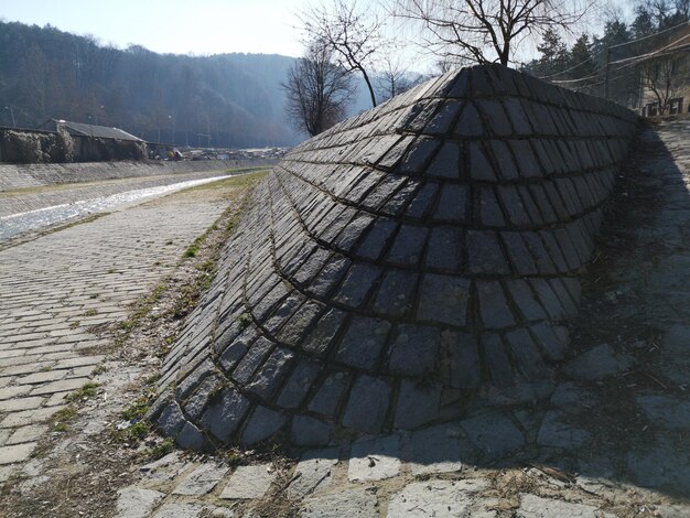 Ziemia pokryta śniegiem, drzewa na tle nieba.