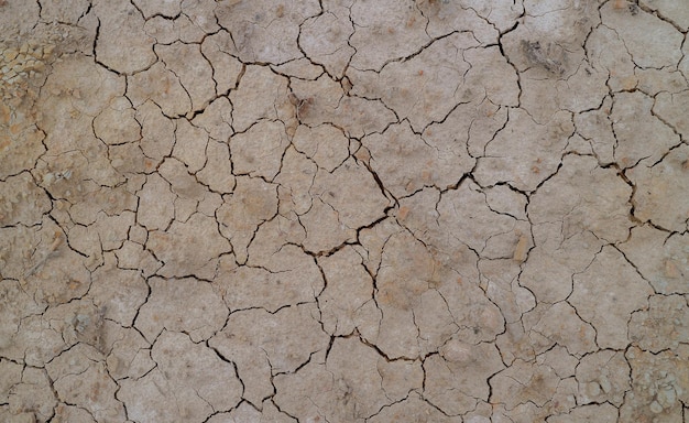 Ziemia popękana z powodu suszy. Pora sucha powoduje wysychanie i pękanie gleby