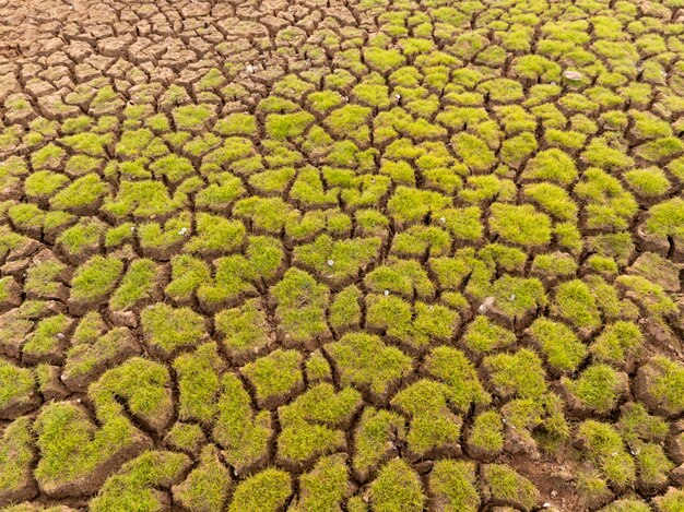 Zdjęcie ziemia z suchą ziemią i trawą objęła globalne ocieplenie