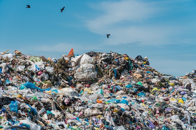 Ziemia ze śmieciami Ptaki wrony przelatują nad wysypiskiem Problemy środowiskowe zanieczyszczenia