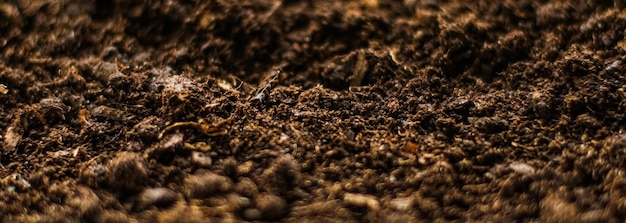 Ziemia ziemia tekstura tło gleby