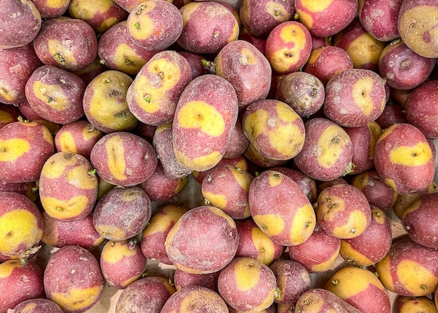 ziemniaki Apache odmiana francuska owoce na ladzie rynku sklep zdrowy posiłek jedzenie dieta przekąska