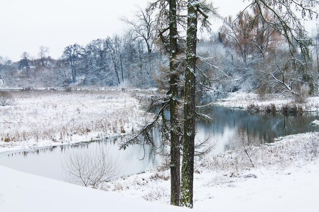 Zima Boże Narodzenie i Nowy Rok Śnieżny zakol rzeczki Zimowy pejzaż