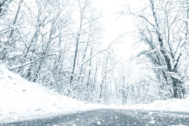 Zima leśna droga śniegowa. Leśna droga zima śnieg widok.