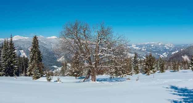 Zima ośnieżone Karpaty z widokiem na Ukrainę