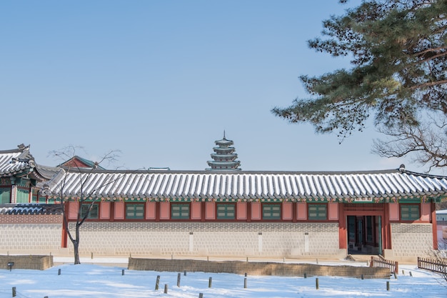 Zdjęcie zima pałacu gyeongbok w korei