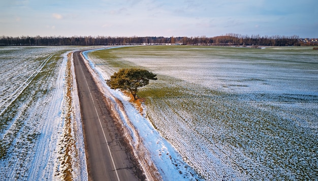 Zima Pole rolnicze pod śniegiem. Drogi wiejskie Widok z lotu ptaka. Samotna sosna w pobliżu podjazdu. Grudzień Wiejski krajobraz. Obwód miński, Białoruś