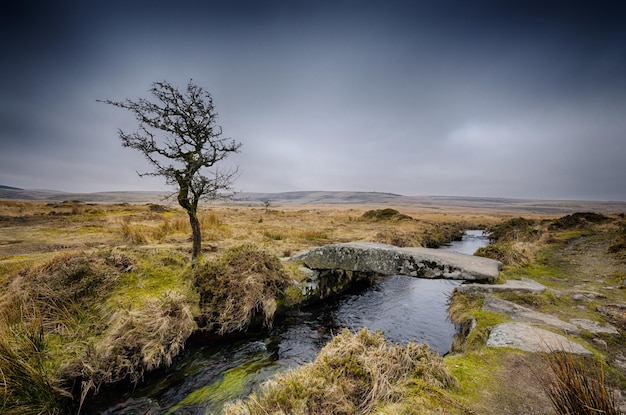 Zima w Dartmoor